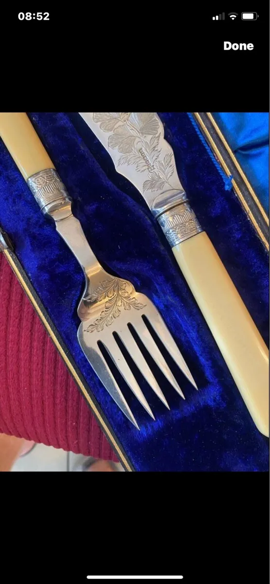 Antique Bone Handle Fush Servers - Image 3