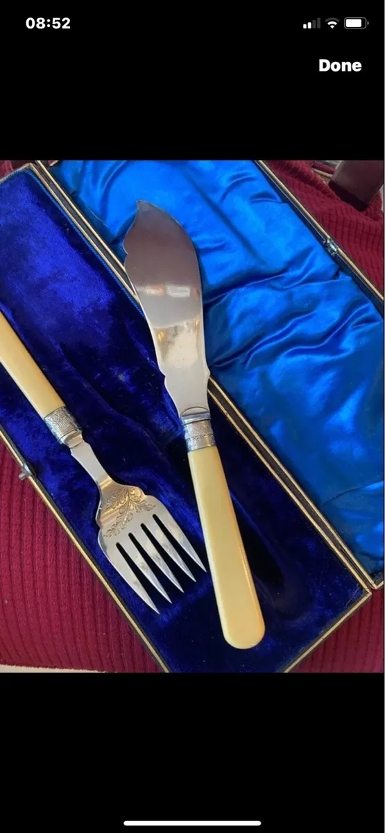 Antique Bone Handle Fush Servers - Image 4