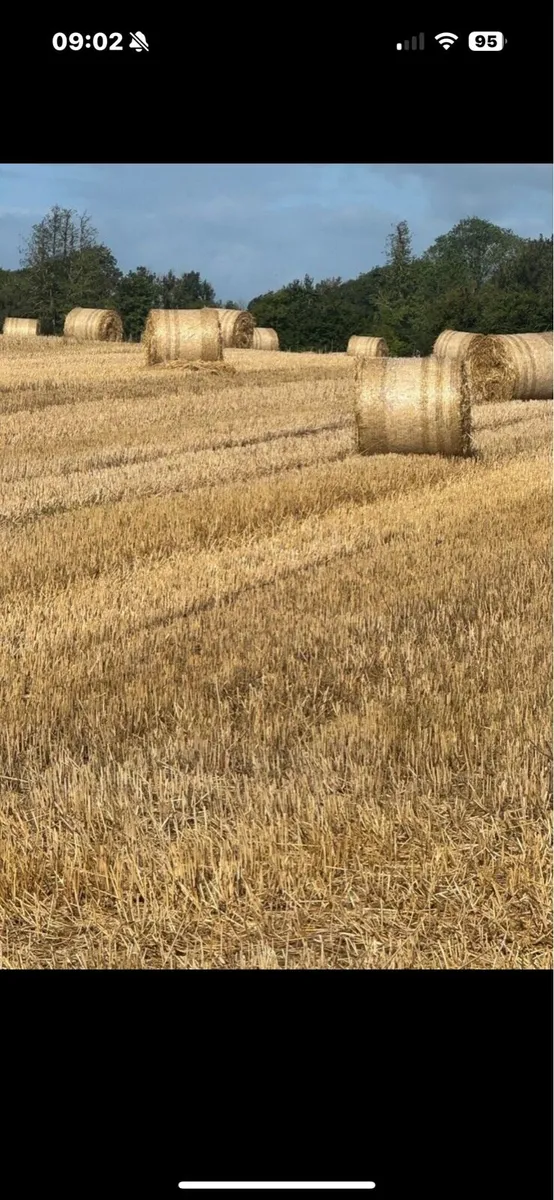 Straw - Image 1