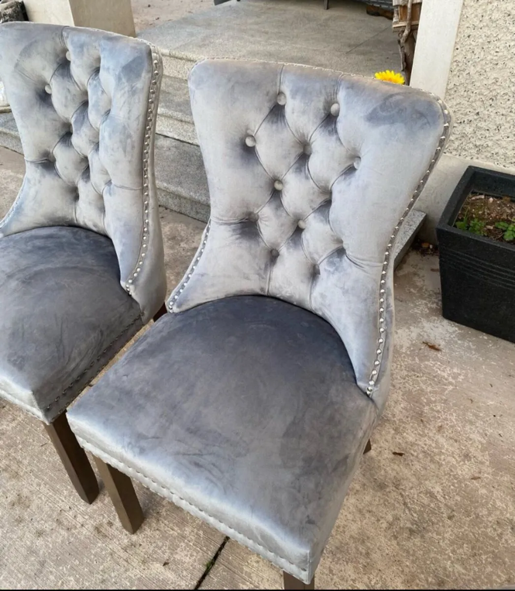 BRAND NEW COACH HOUSE CHAIRS - Image 3