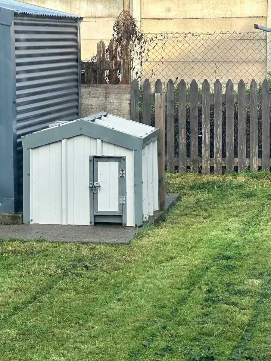 Steel insulated dog shed and galvanised  run