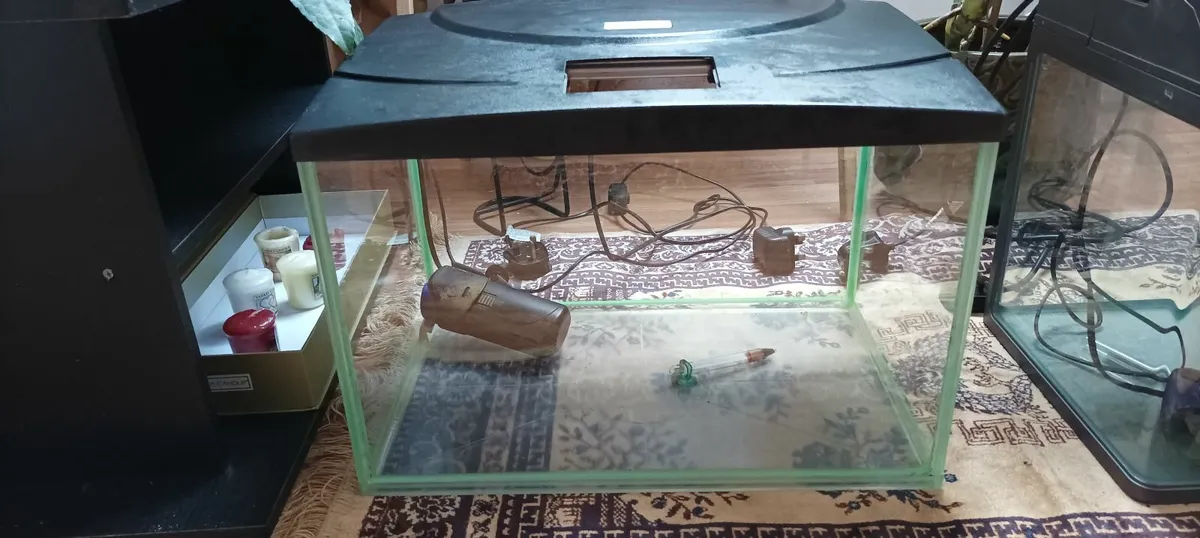 Fish Tank Small Kids Glow - Image 2