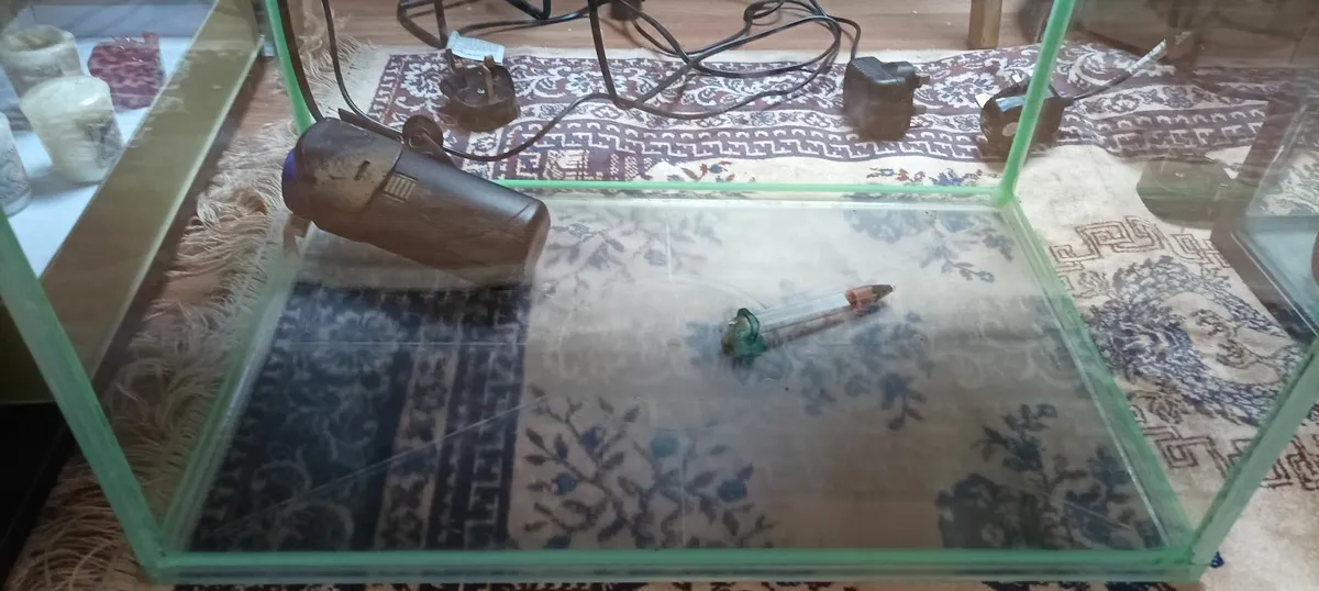 Fish Tank Small Kids Glow - Image 3