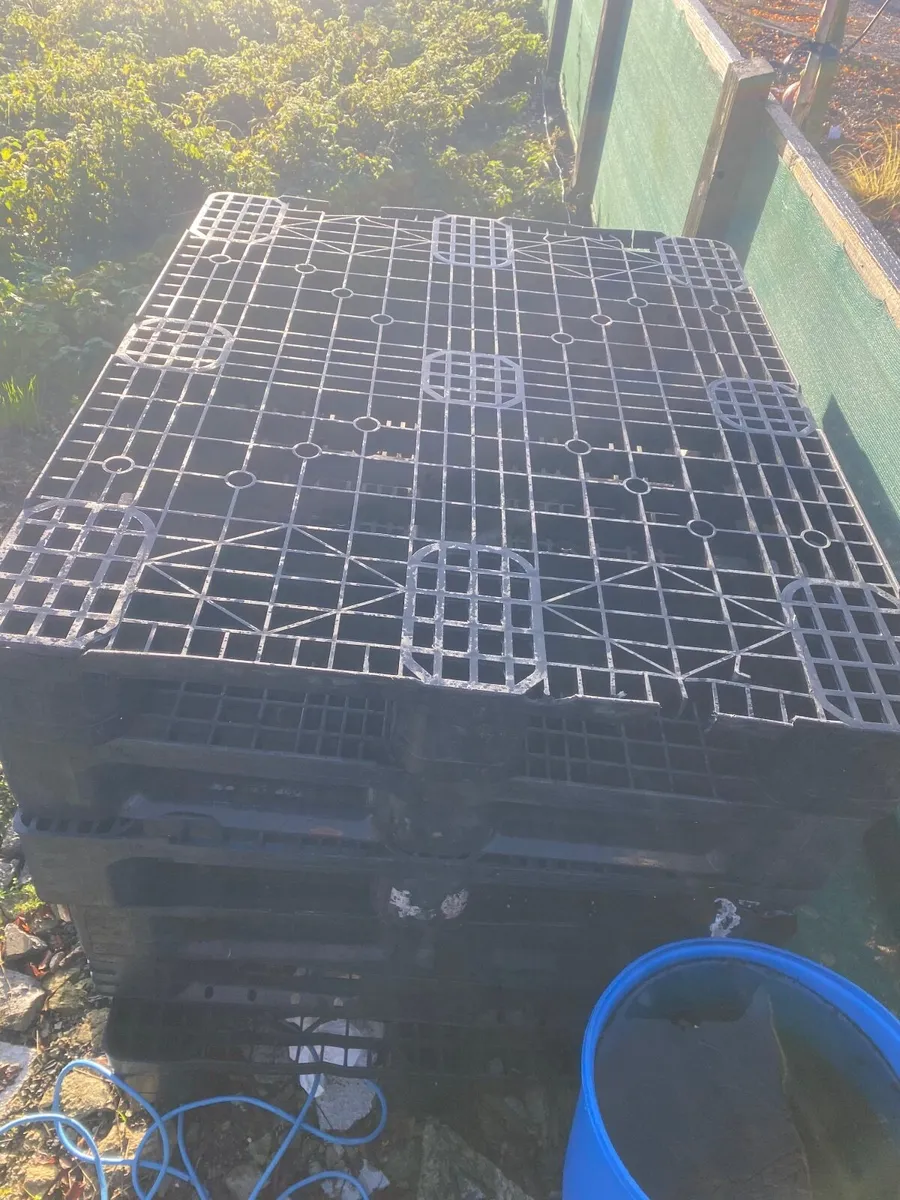 Heavy duty pallets - Image 2