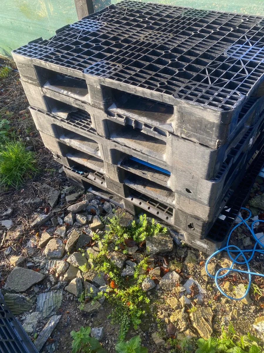 Heavy duty pallets - Image 3
