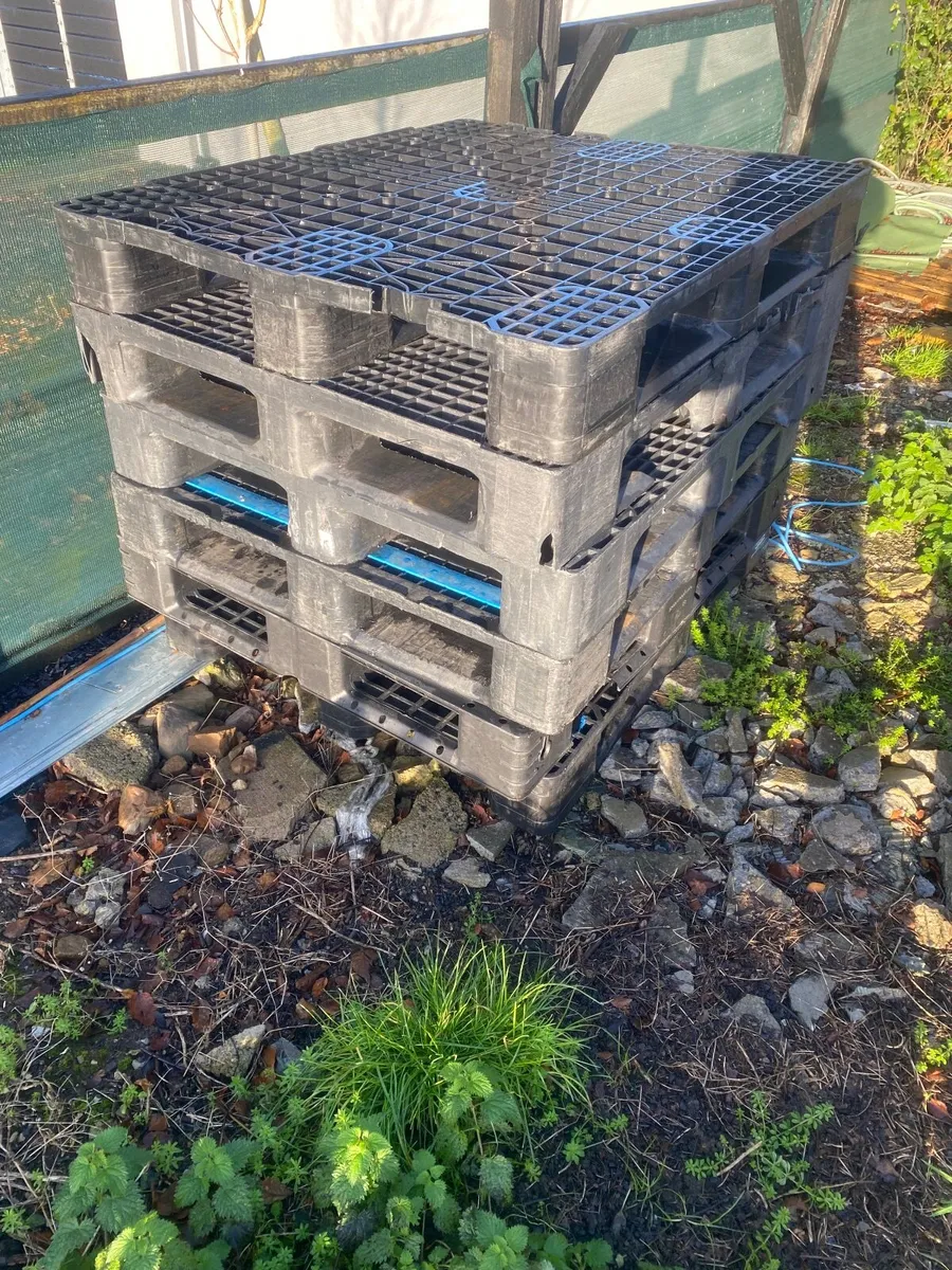 Heavy duty pallets - Image 1