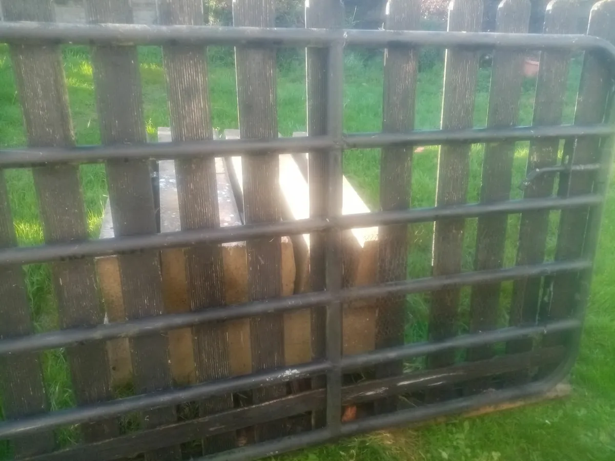 Double Entrance Gate's. - Image 1