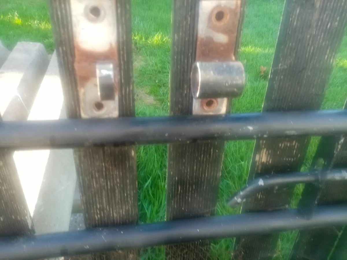 Double Entrance Gate's. - Image 4