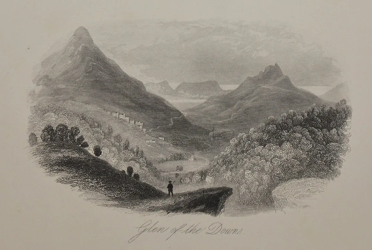 Glen of the Downs Wicklow 1863 Antique Print - Image 2