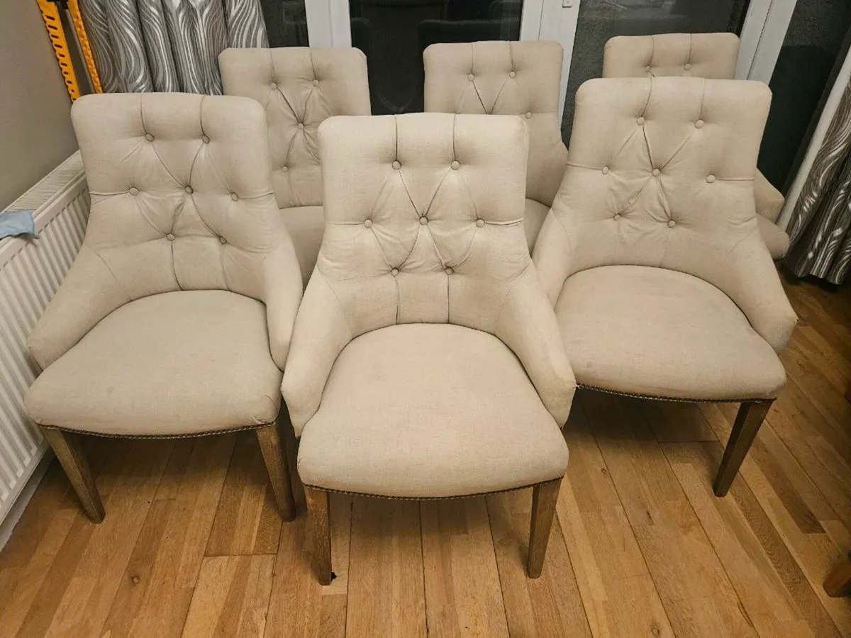 6 dining chairs - Image 1