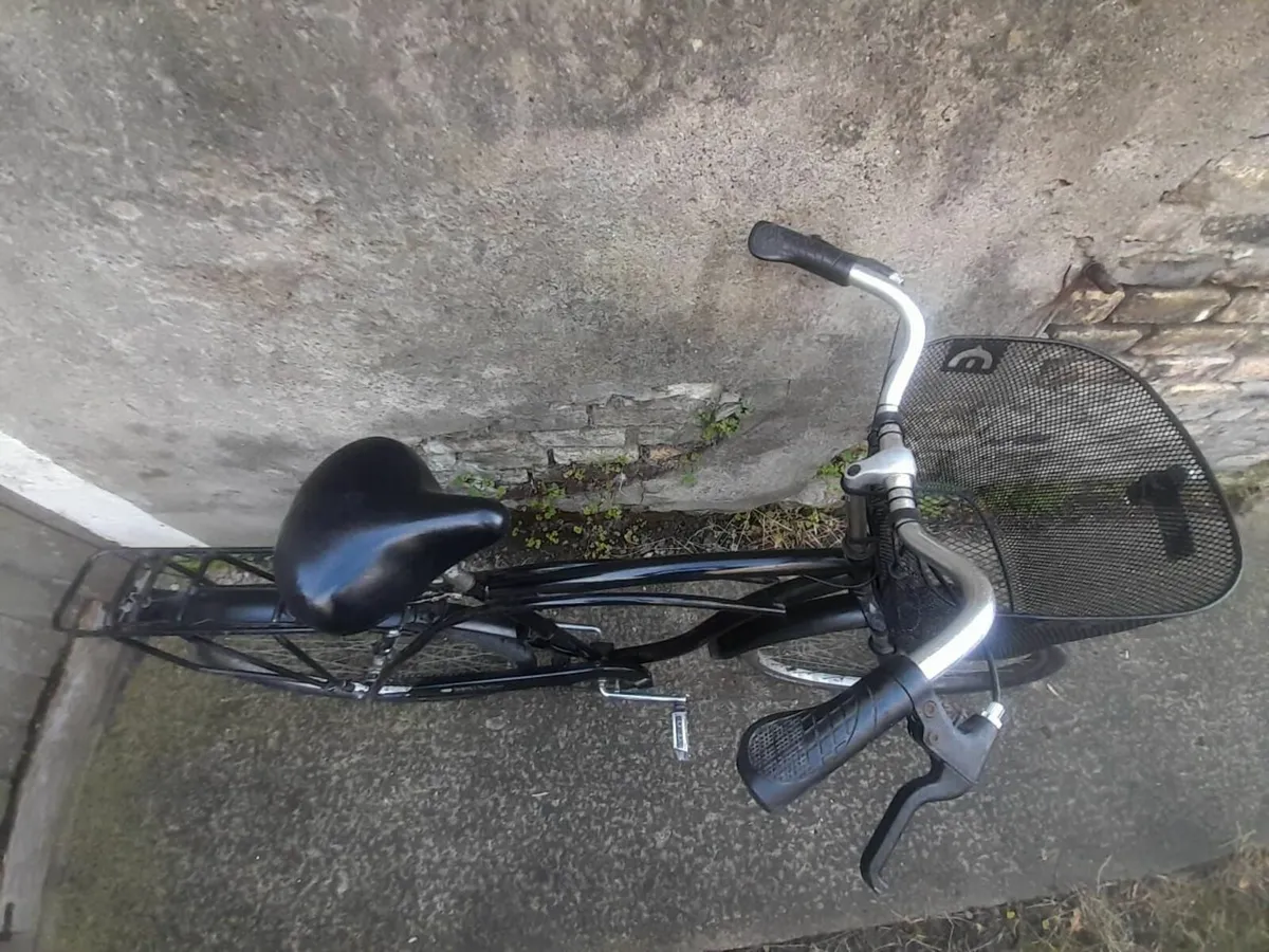 Adult bike - Image 2