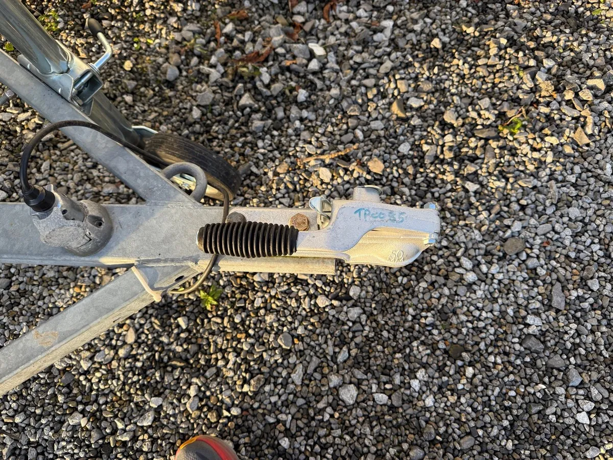 Galvanised factory built 2 compartment dog trailer - Image 4