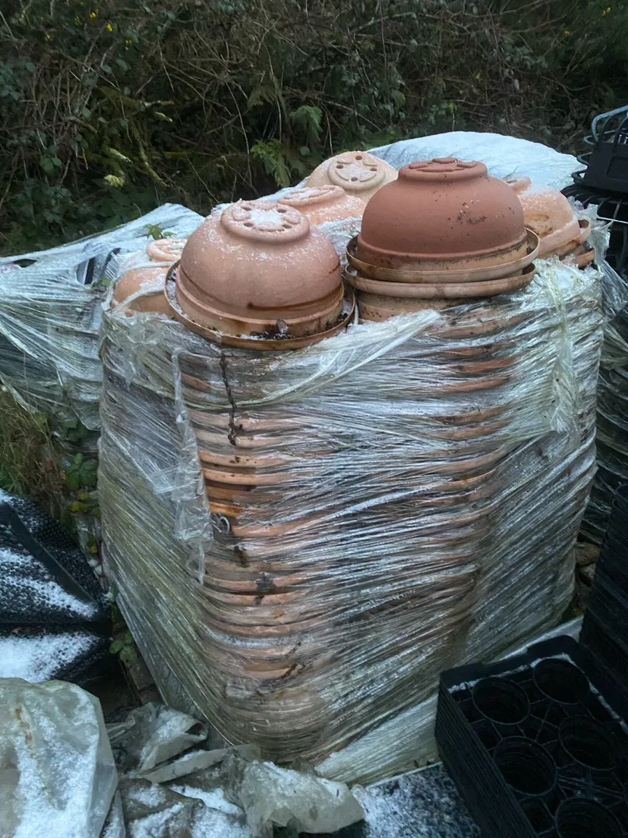 Plastic Plant pots - Image 4