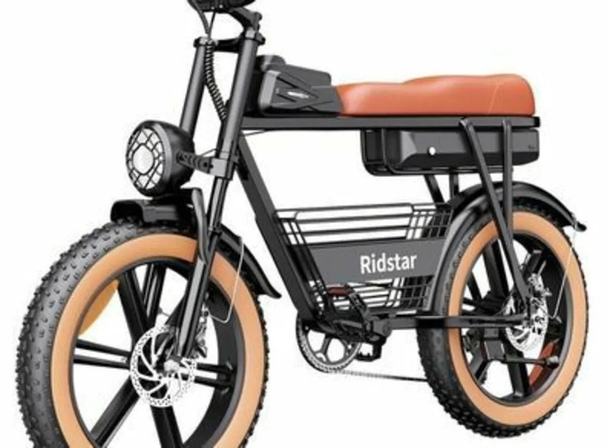 Ridstar Cr20 Electric Bike