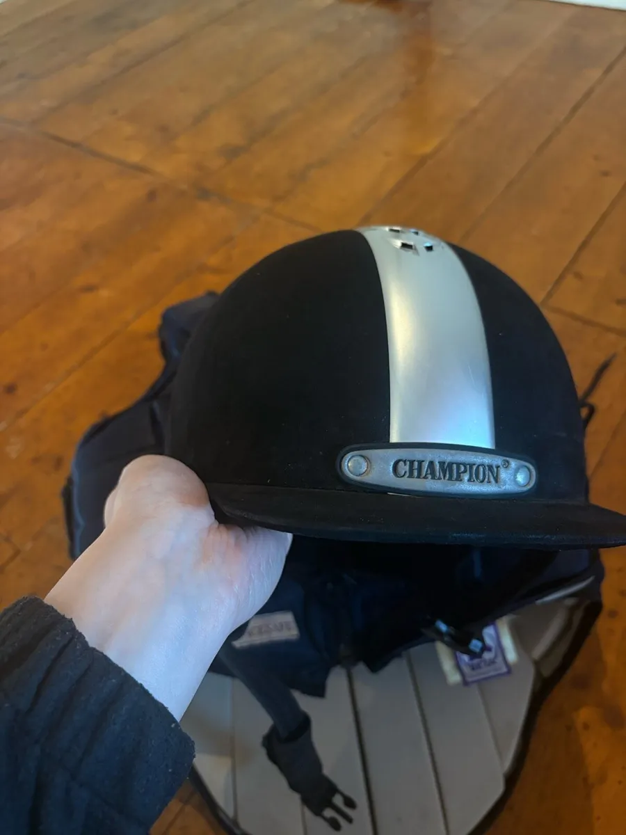 Horse riding equipment - Image 2