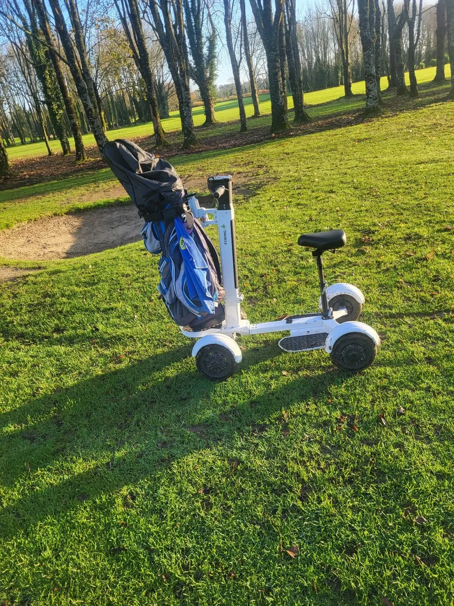 Electric golf buggy