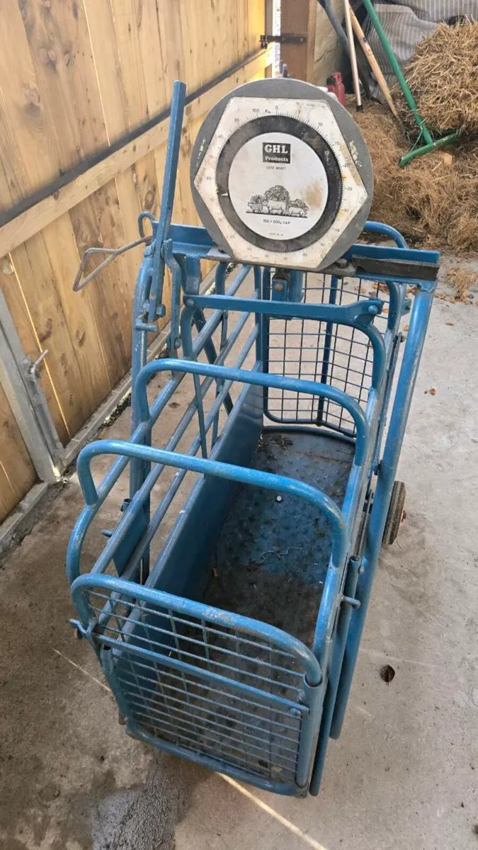 Lamv Weighing scales - Image 1