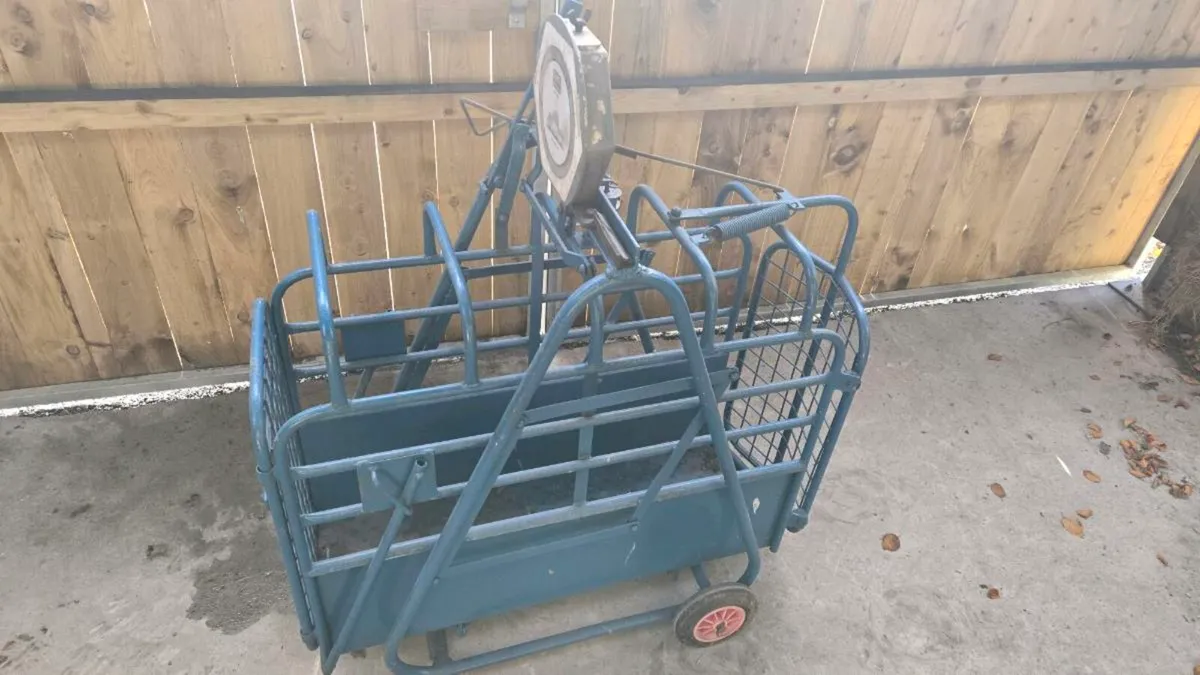 Lamv Weighing scales - Image 2