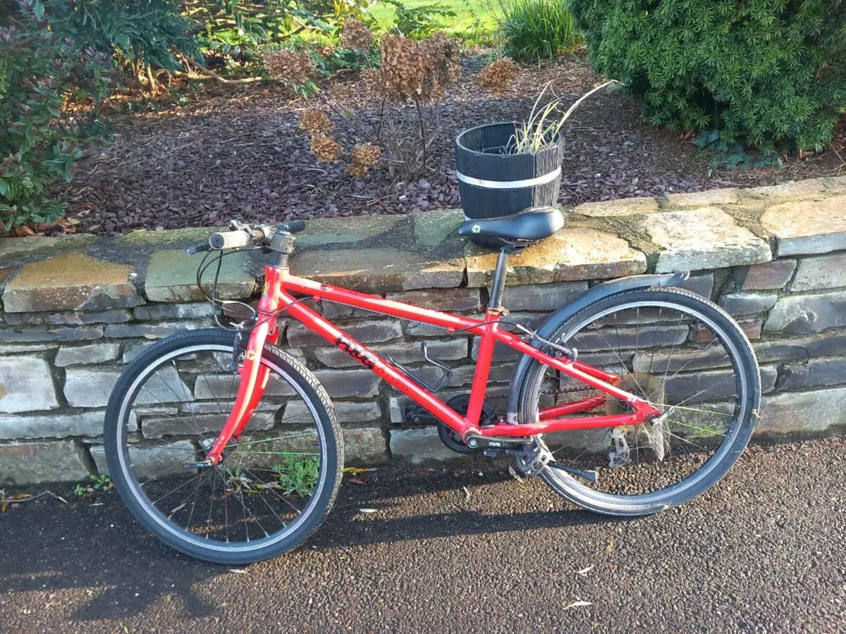 Frog bike 62 - Image 1