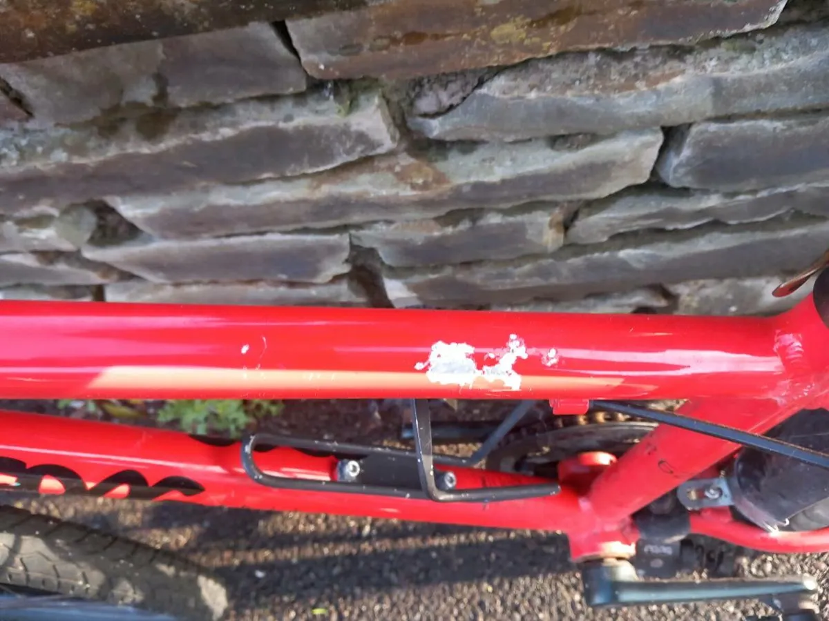 Frog bike 62 - Image 2