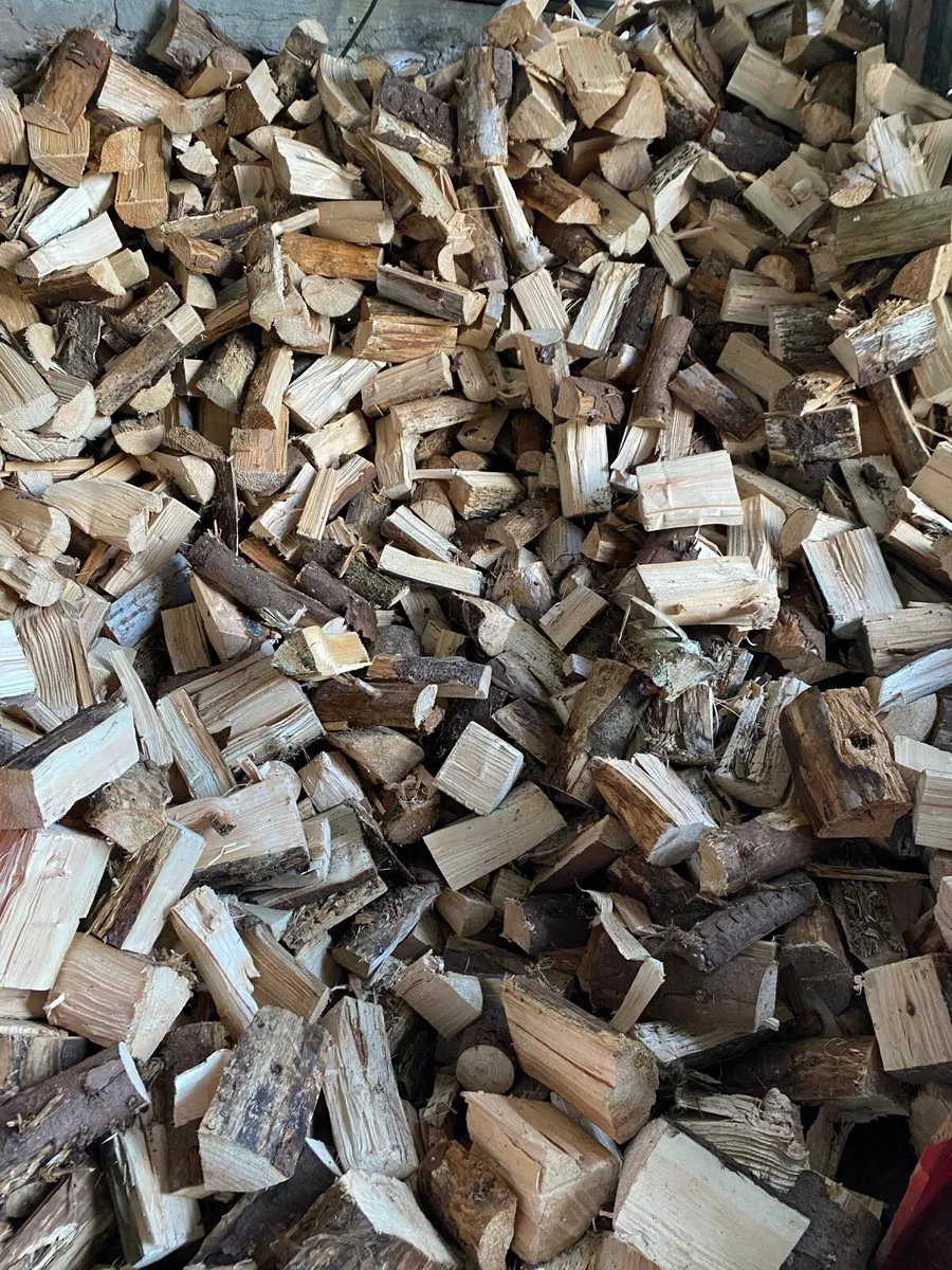 Bags of well seasoned, dry Firewood - Image 2