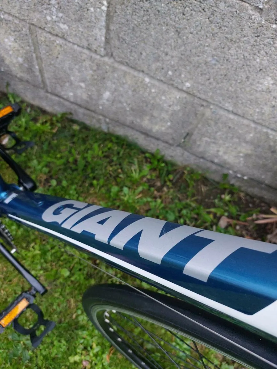 Giant Defy 4 - Size M/L - Shimano Claris - €300 - Image 4