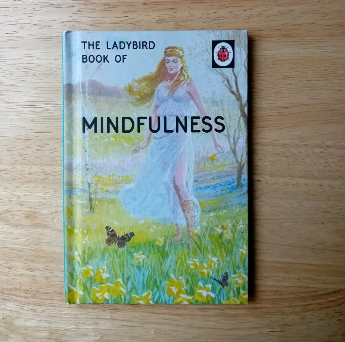 "Mindfulness"- Ladybird For Grown ups Book - Image 1