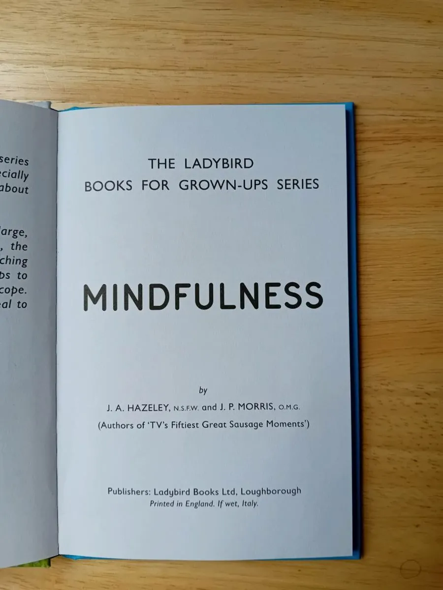 "Mindfulness"- Ladybird For Grown ups Book - Image 3