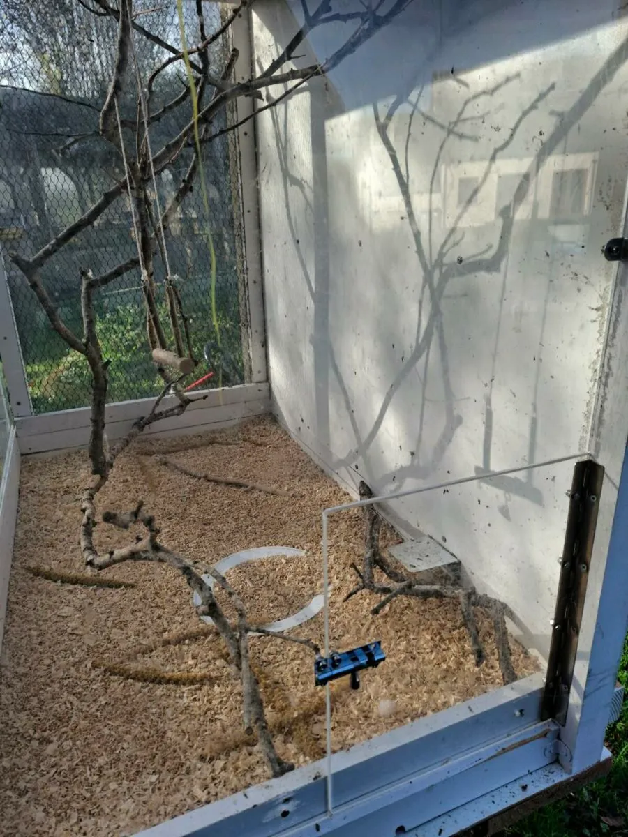 Bird house - Image 2