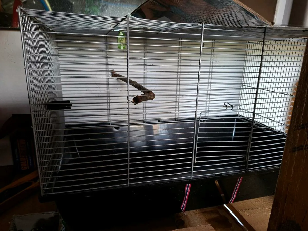 Bird house - Image 3