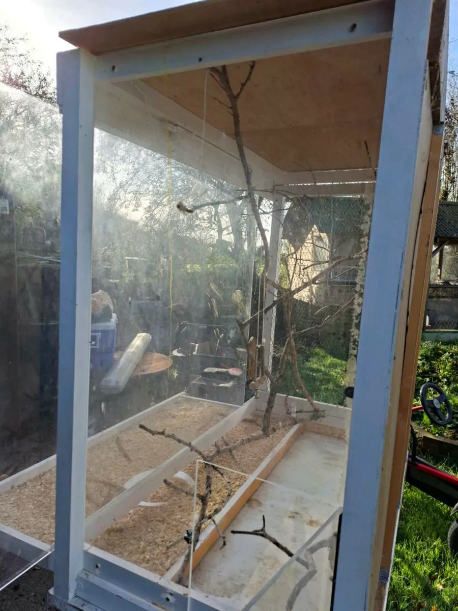 Bird house - Image 4