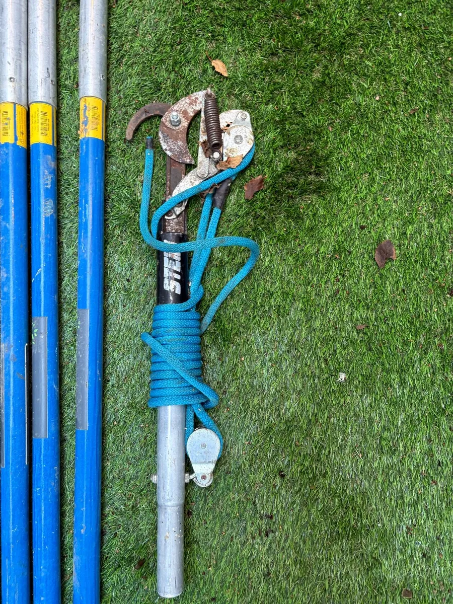 Stein Blue extending pole saw and looper included - Image 3