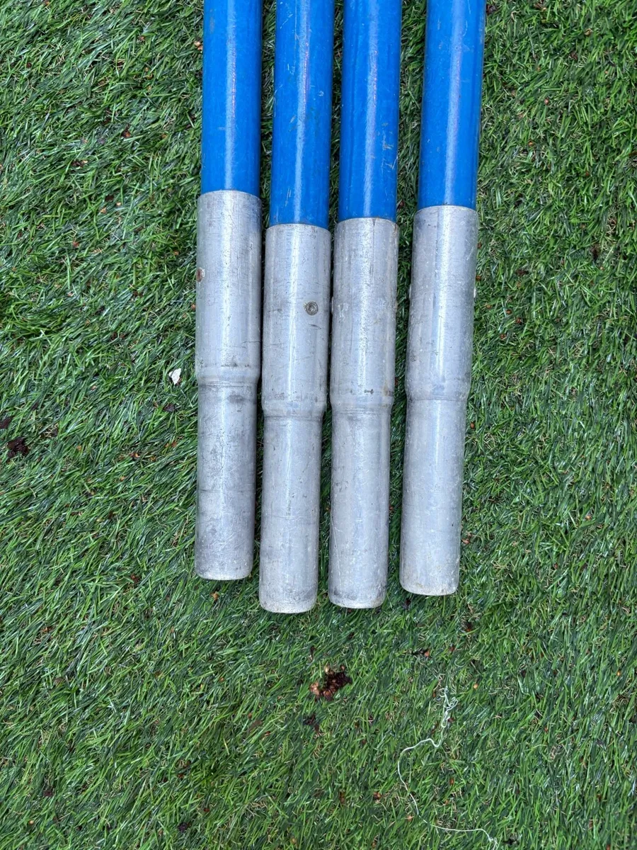 Stein Blue extending pole saw and looper included - Image 4