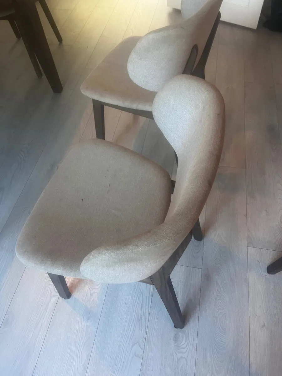 Dining chairs - Image 2