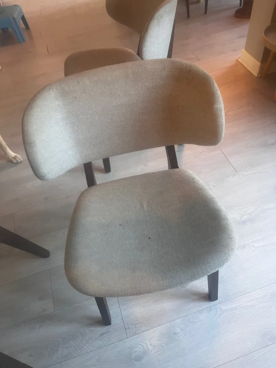 Dining chairs - Image 4