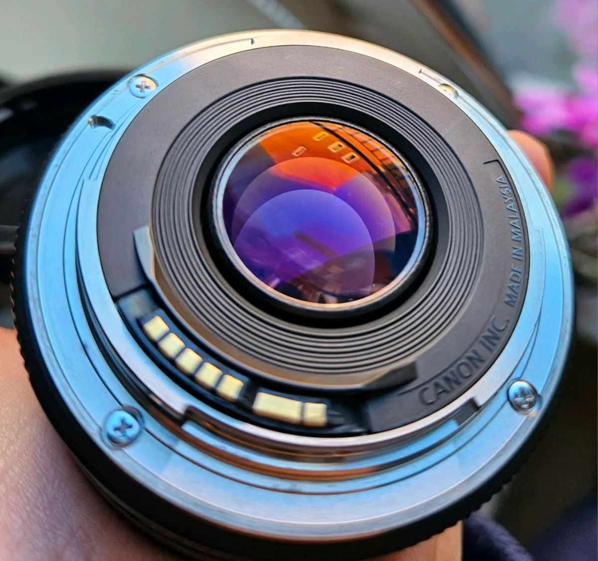 Canon EF 50mm f/1.8 STM Lens + hood - Image 3