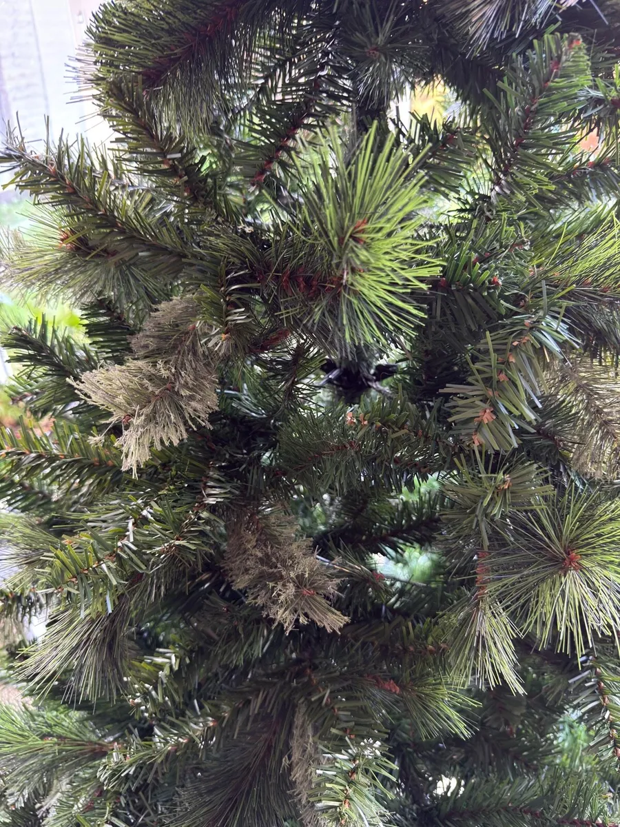 Christmas Tree (7.5ft) - Image 3