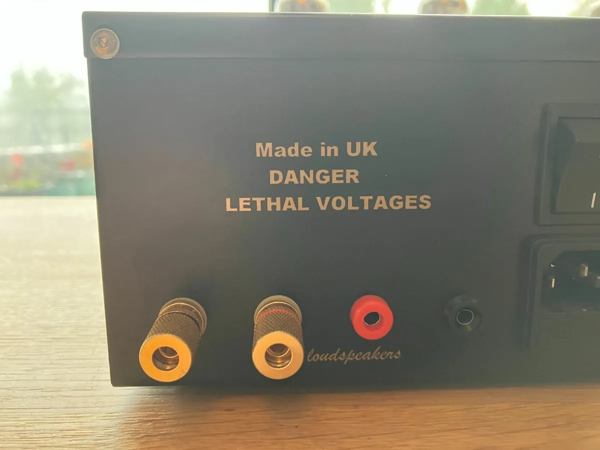 Audion Edisson 60 power amplifier - Image 3