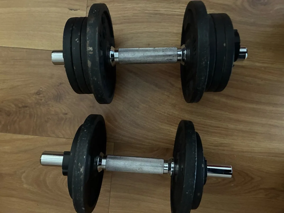 20kg Dumbells - Image 3