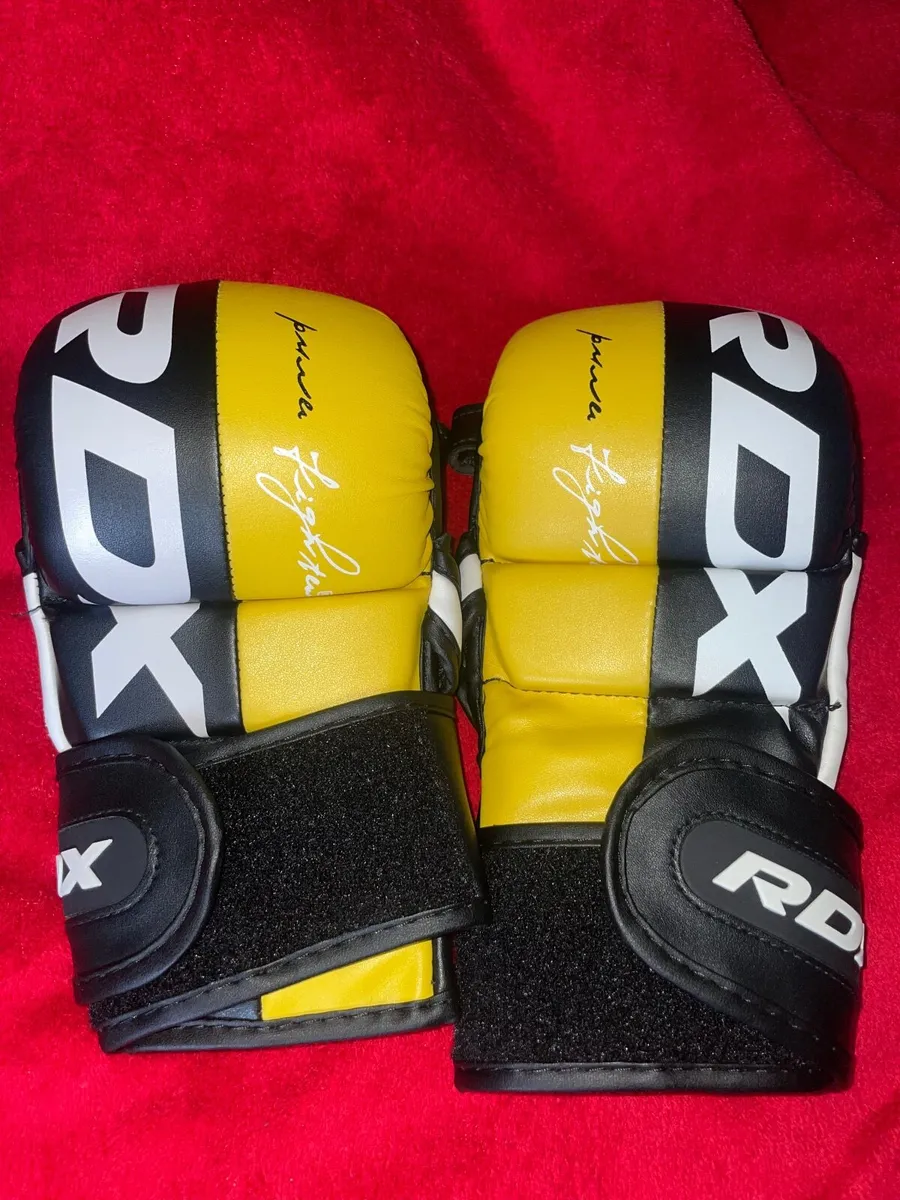MMA Gloves - Image 4