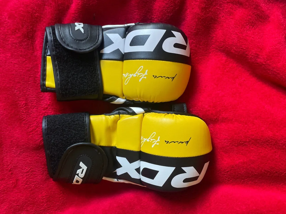 MMA Gloves - Image 1