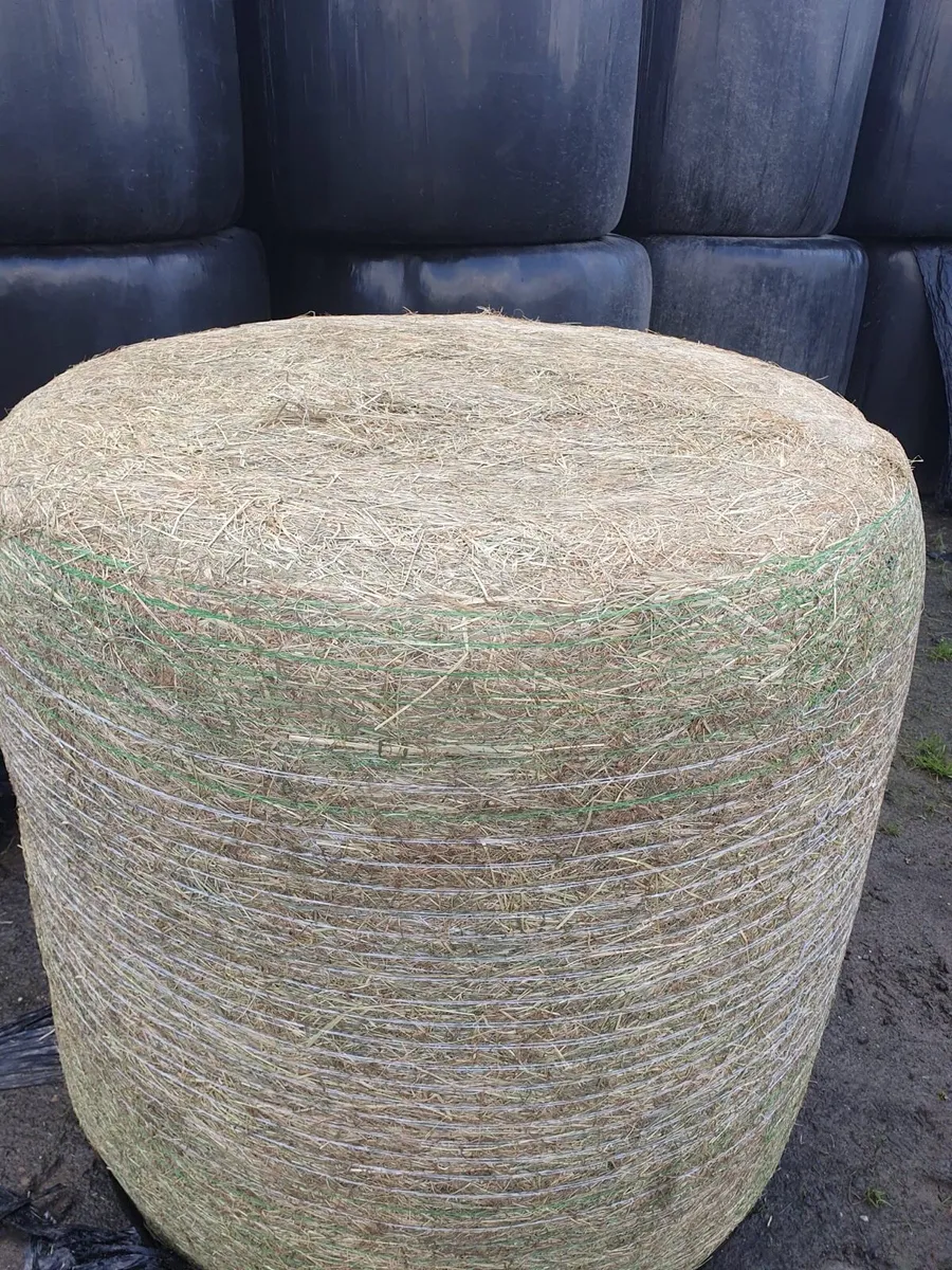 Haylage - Image 1