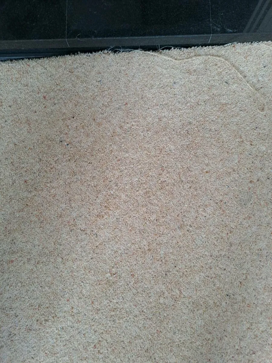Carpet - Image 2