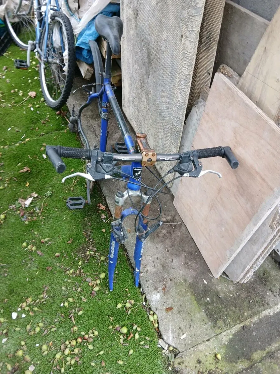 Gents light weight bike frame - Image 2