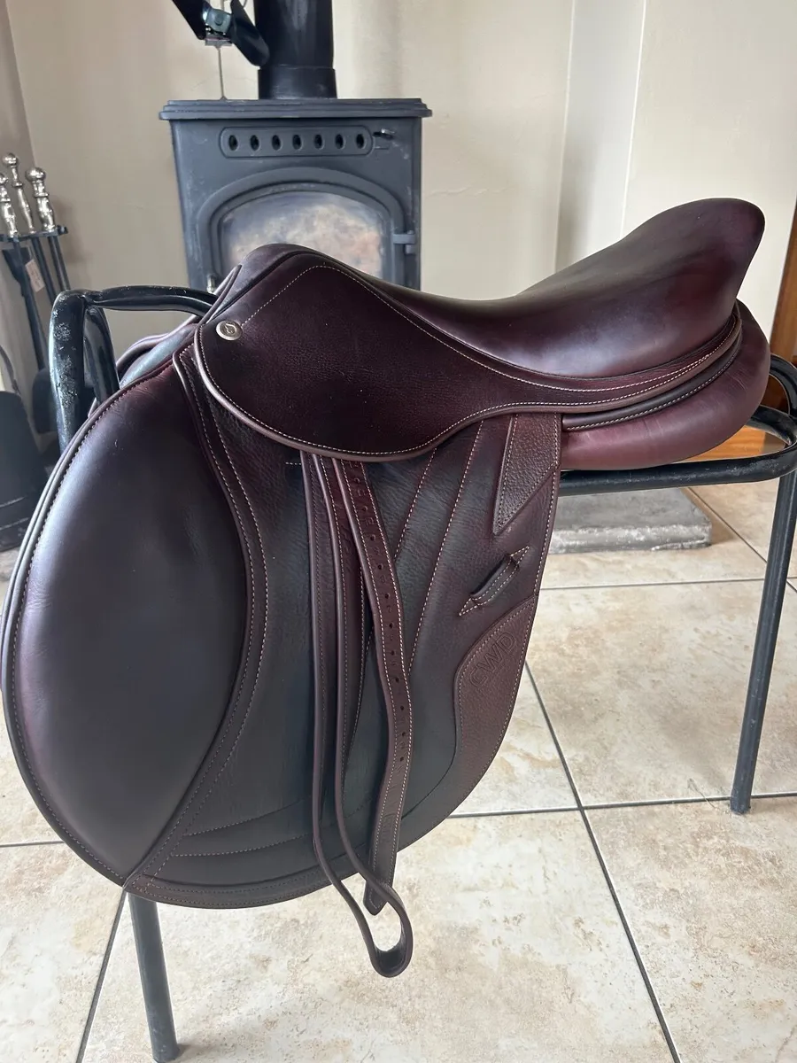 2018 CWD Saddle for Aale - Image 2