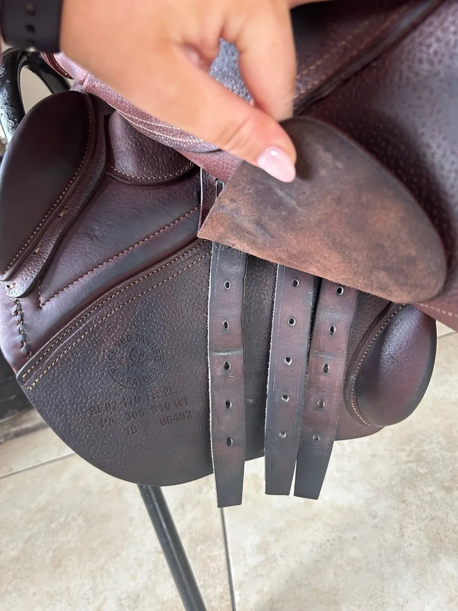 2018 CWD Saddle for Aale - Image 4