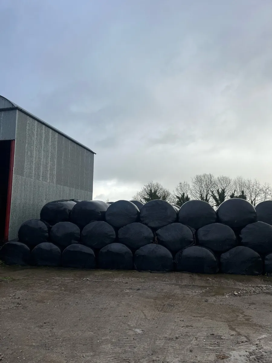 1st & 2nd cut silage - Image 1