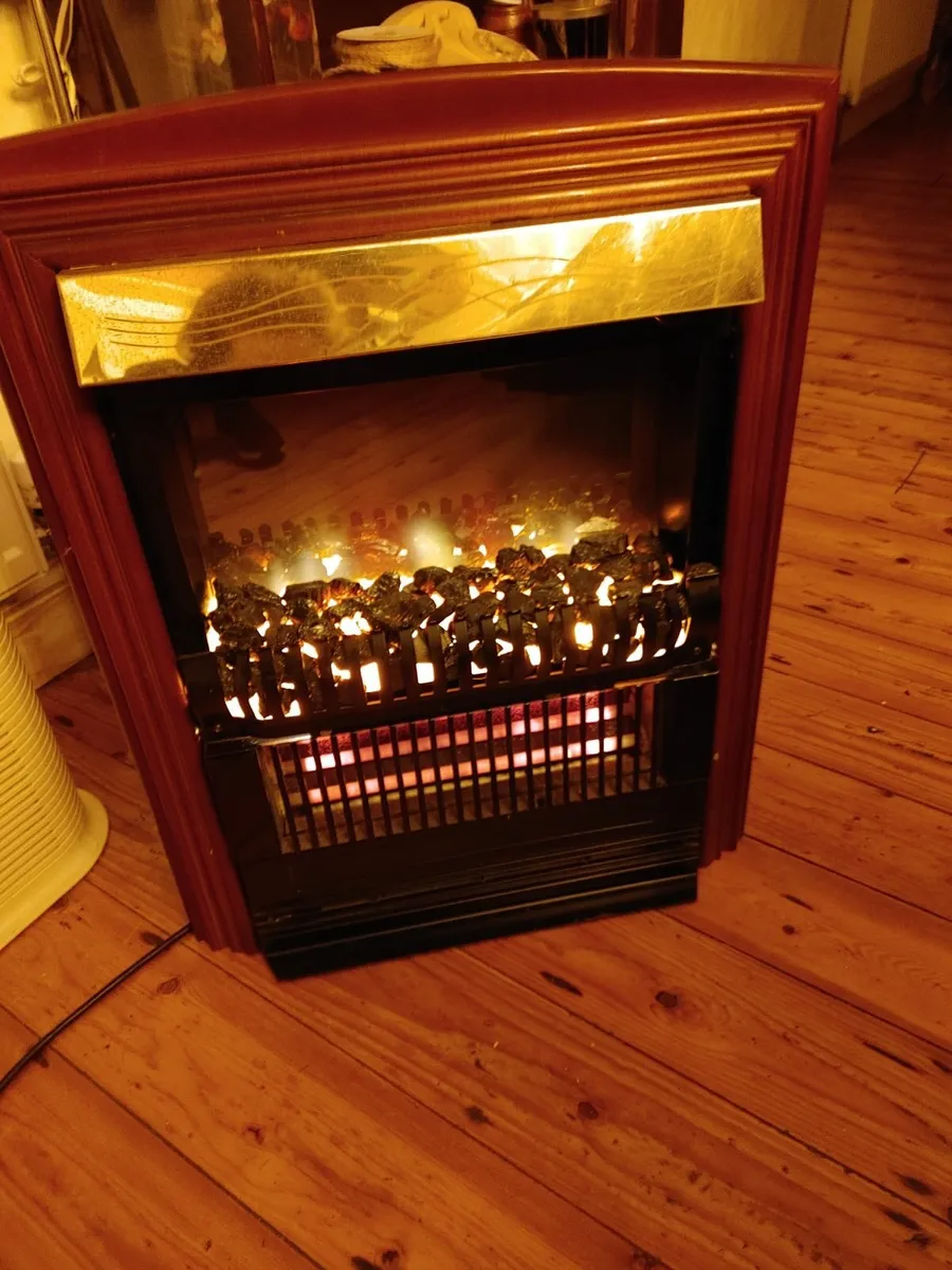 Dimplex fire - Image 1