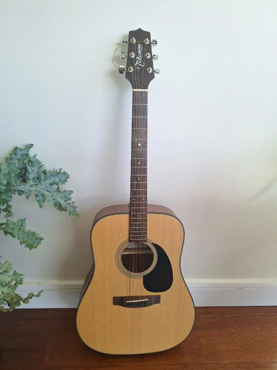 Takamine G320-NS Acoustic Guitar + CNB Hard Shell - Image 2