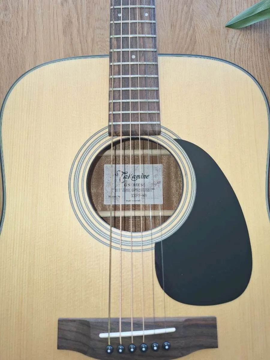 Takamine G320-NS Acoustic Guitar + CNB Hard Shell - Image 3